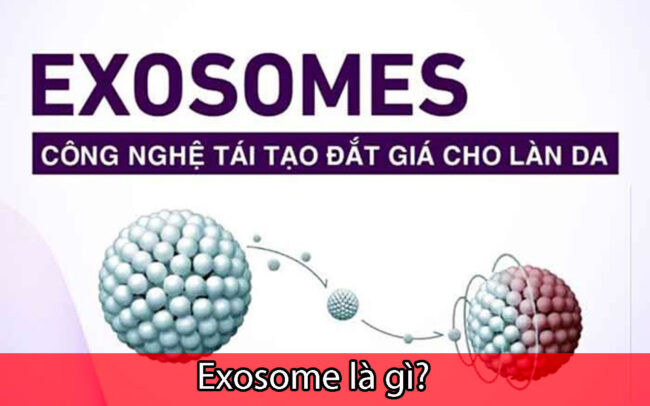Exosomes là gì?