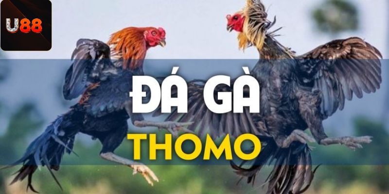 da-ga-thomo-la-gi
